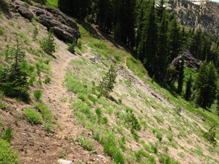 Last switchbacks up Northwest flank of Mount Reba
